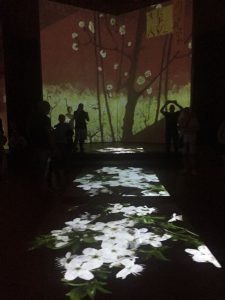 Van Gogh Alive: il grande successo a Bologna continua sino al 31 ottobre 2