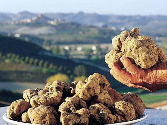 Tartufesta 2017 Appennino Bolognese