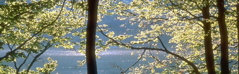 Parco dei Laghi di Suviana e Brasimone