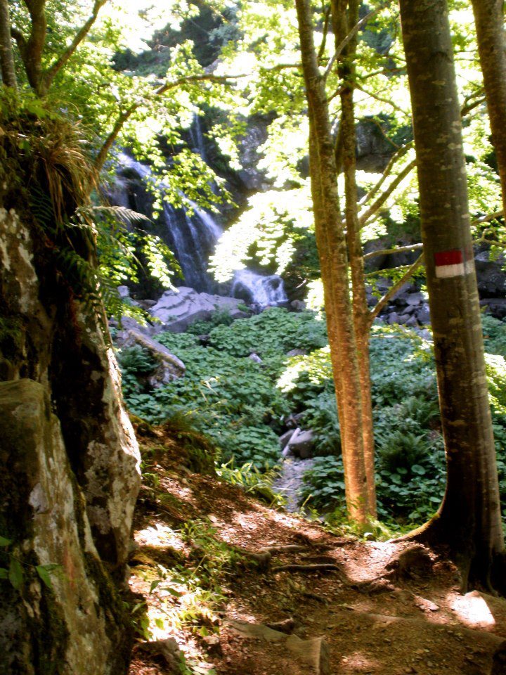 cascata della dardagna