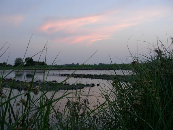 Oasi naturale di Bentivoglio