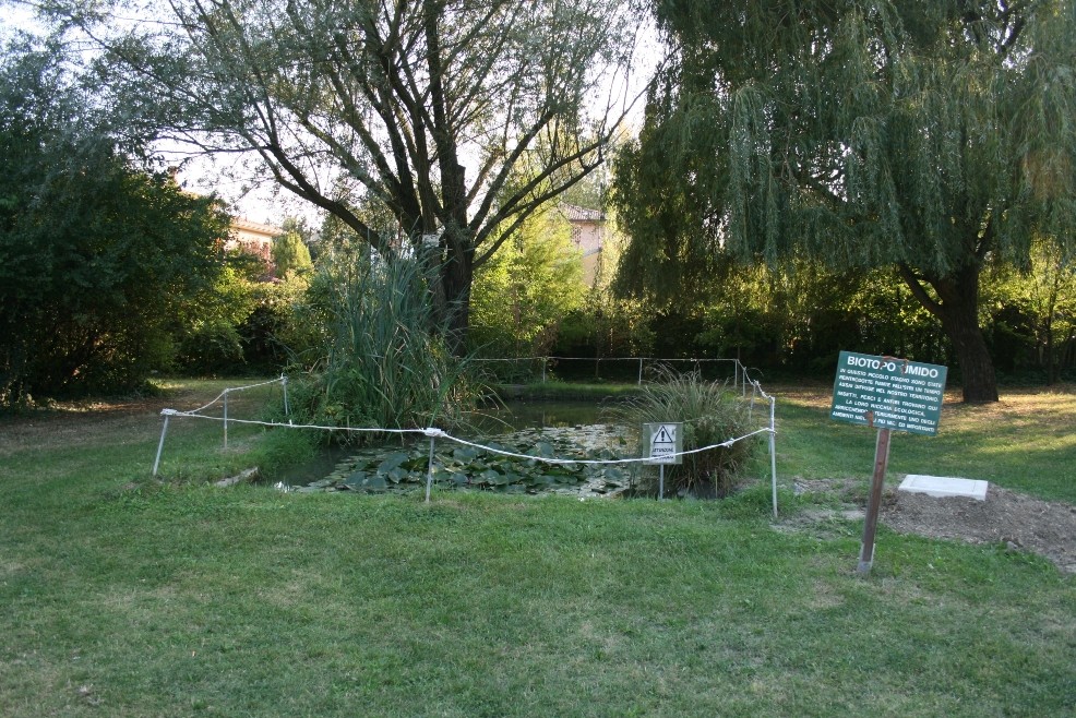 Arte sacra, archeologica e ambiente, cielo e terra