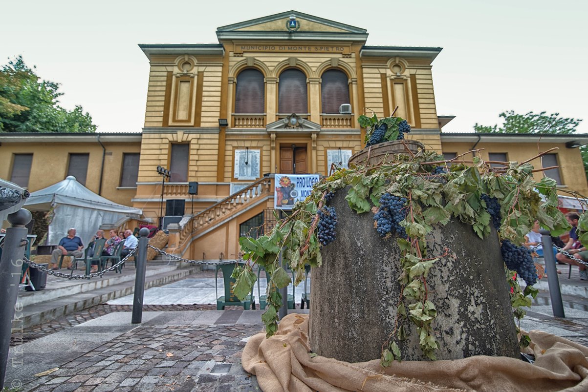 49° Sagra del Vino dei Colli Bolognesi 1