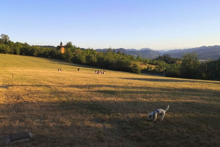 Bosco di Ca'Shin a Bologna, Parco Cavaioni