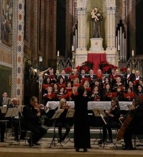 Concerto di Natale a Bologna: musiche e canti che superano i confini