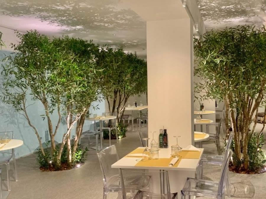 irnerio10-bar-bistrot-a-bologna-attento-alla-salute