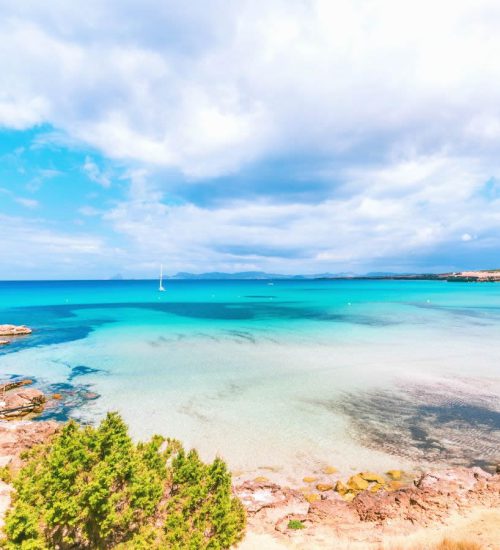Da Bologna a Formentera: come arrivare e cosa vedere