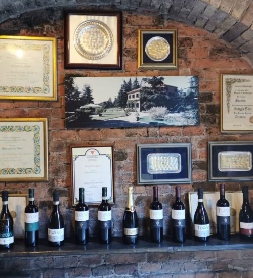 Tizzano, storia e vini dell'azienda sui colli bolognesi