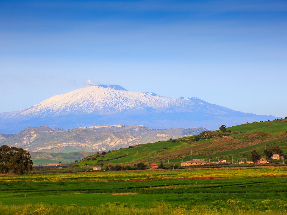 Un vulcano di sapori: degustazione di vini dell’Etna a Bologna