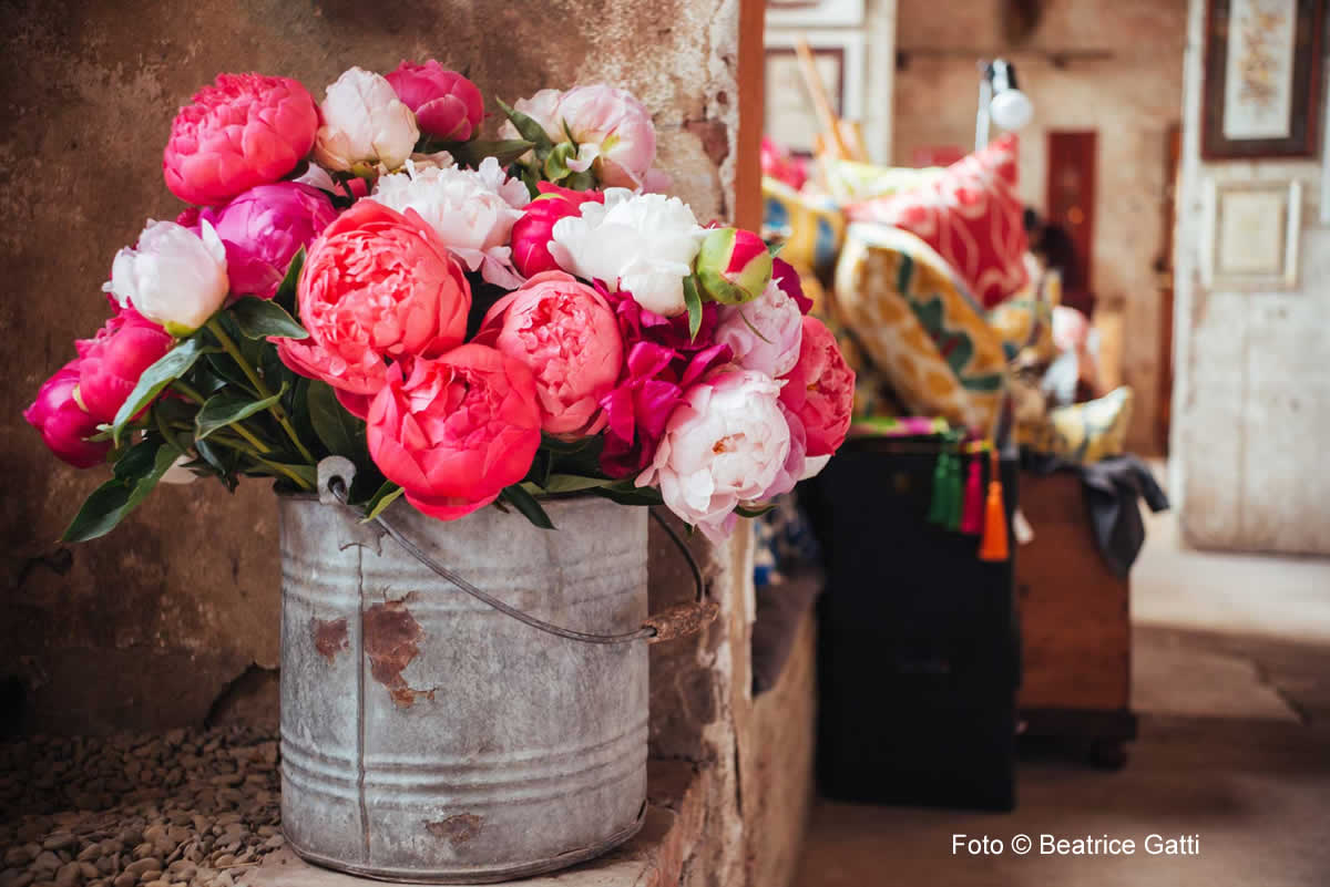 Peonia in Bloom, in via della Braina una mostra mercato di grande fascino