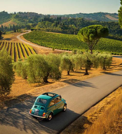 Colli bolognesi in auto