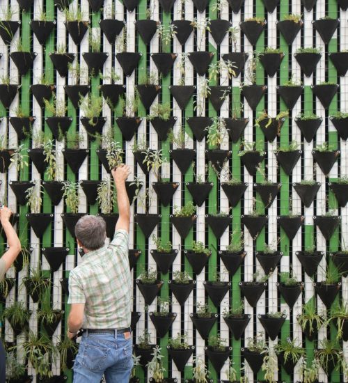 Italia sempre più green