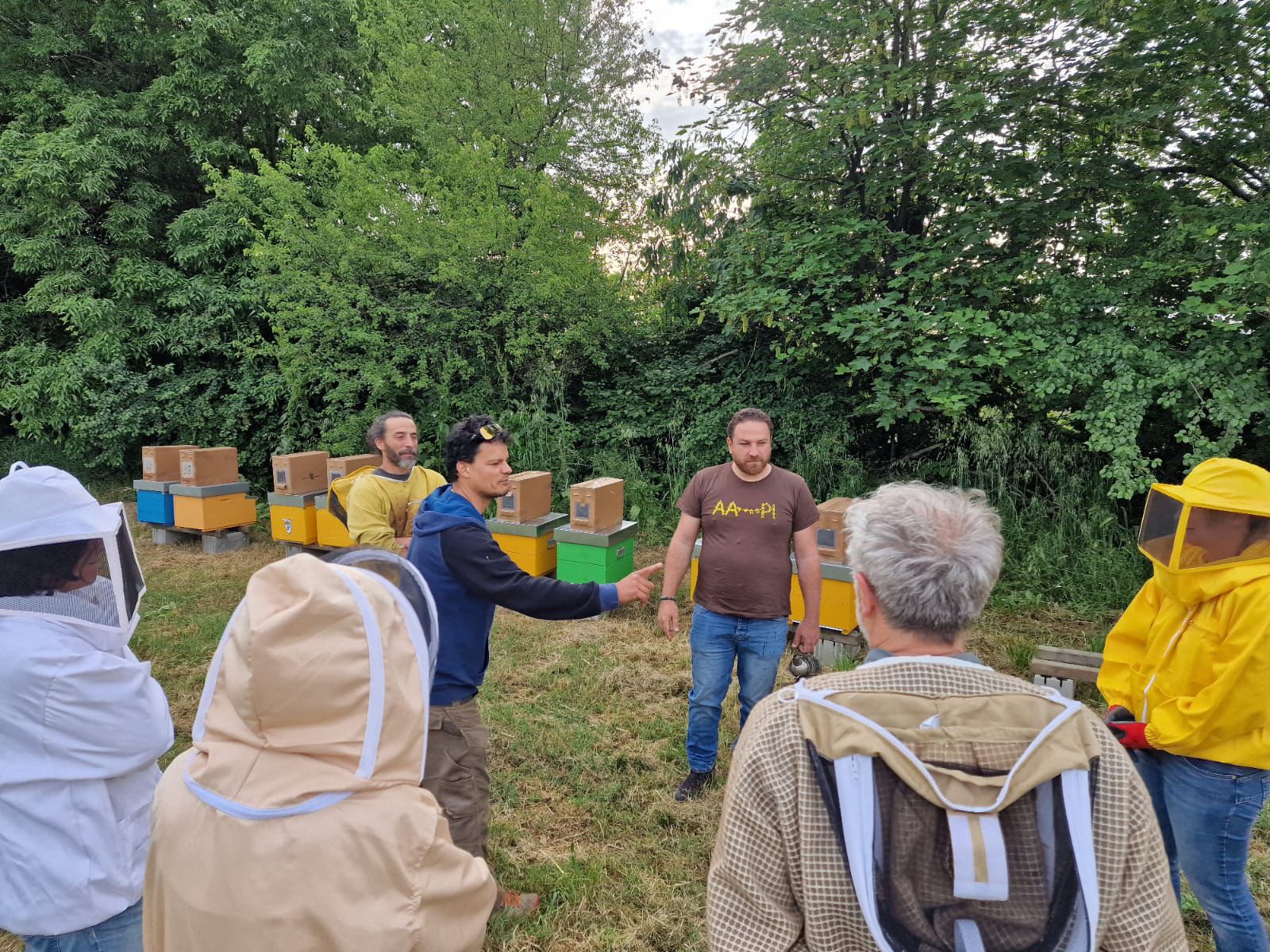 Corso di apicoltura per principianti
